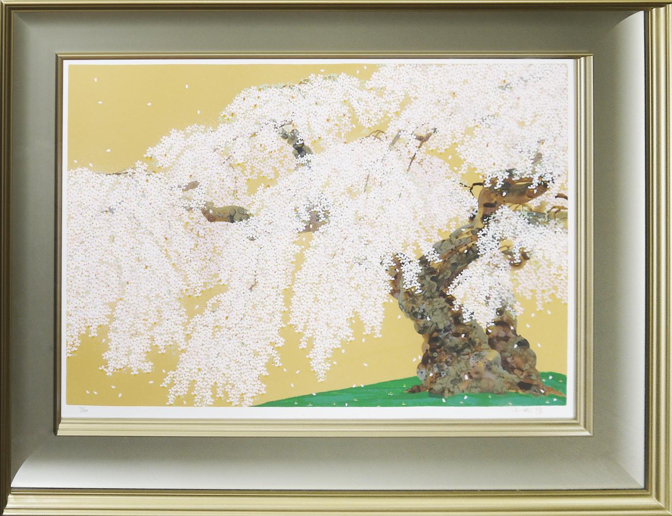 春輝神田の大糸桜 | ｜正光画廊