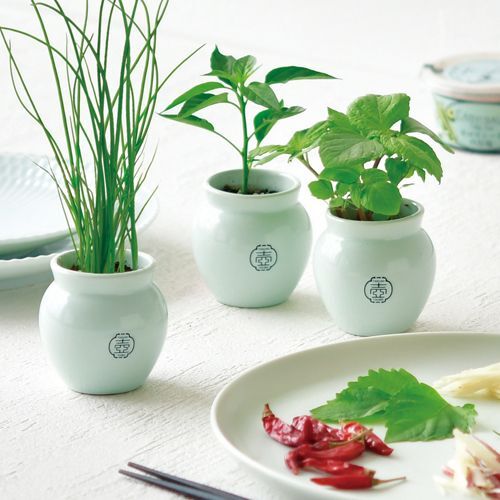 TSUBO｜漬物ツボのようなデザインがかわいい