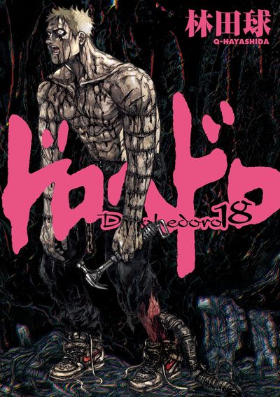 ドロヘドロ 17 | 林田 球 – 小学館コミック