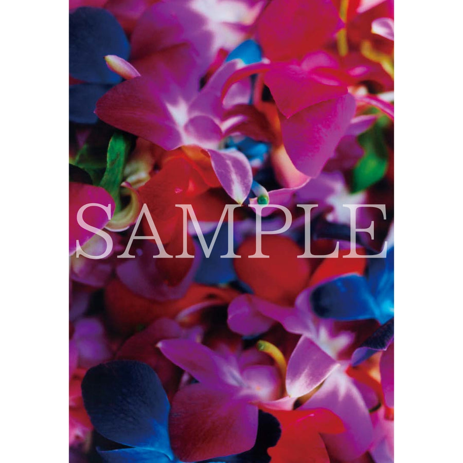 ポストカードセット｜ noir – MIKA NINAGAWA OFFICIAL STORE