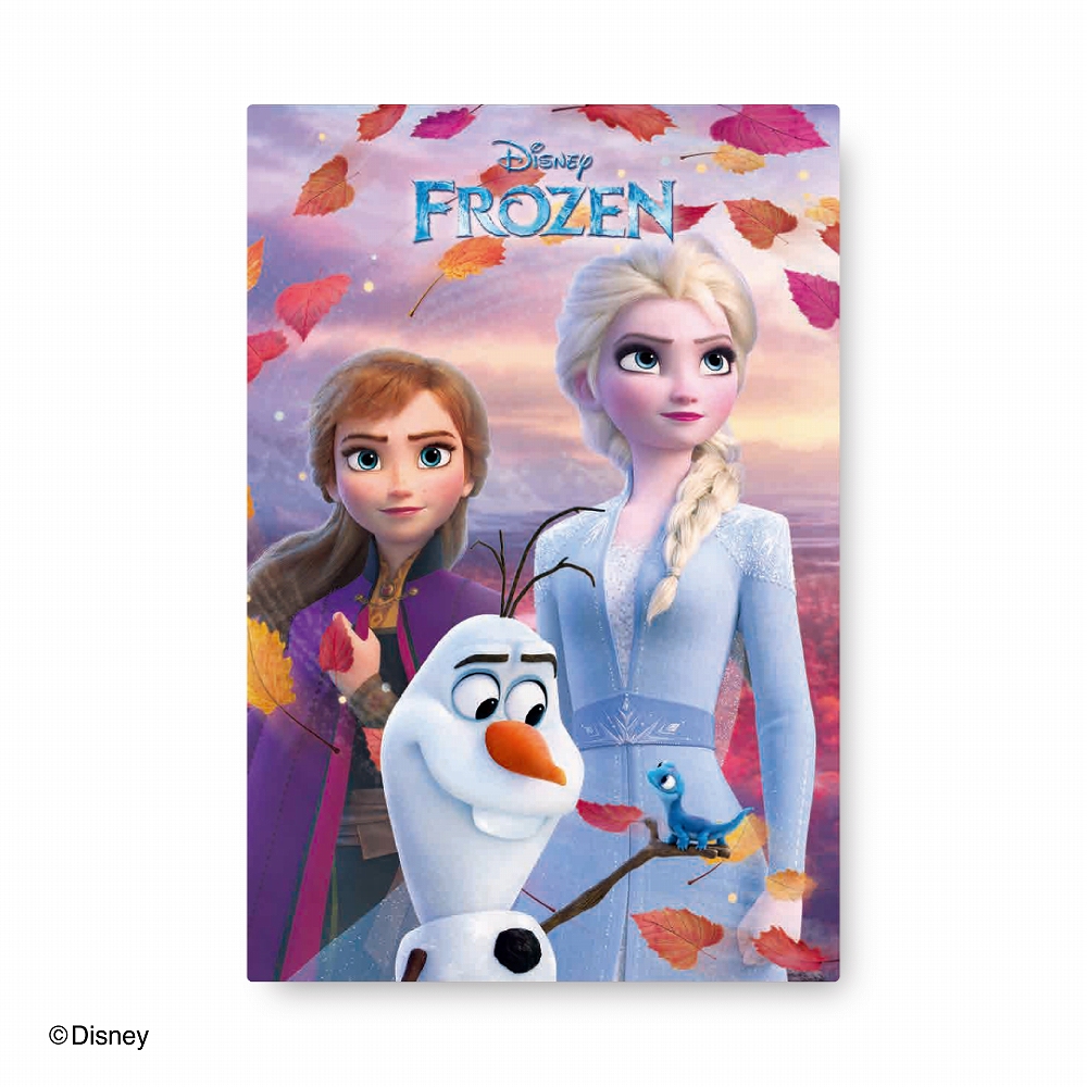 3Dポストカード アナと雪の女王2S4725 | 2026年版手帳 | 手帳