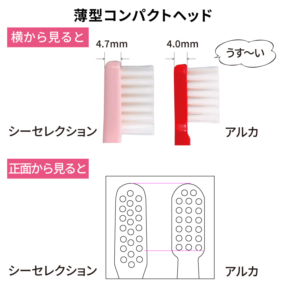 国産歯ブラシ アルカ レギュラー【商品詳細】 - 歯科・技工材料の通販