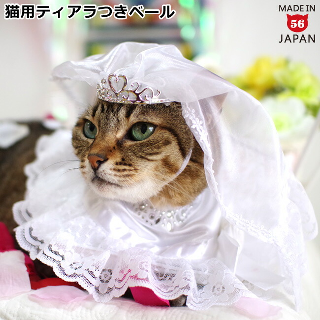 楽天市場】マロンの 猫用ティアラ 猫グッズ 雑貨 プレゼント 【ペット