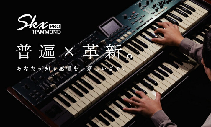 楽天市場】【即納可能＆送料無料！】Shin's Music PLATINUM DRIVE PLD