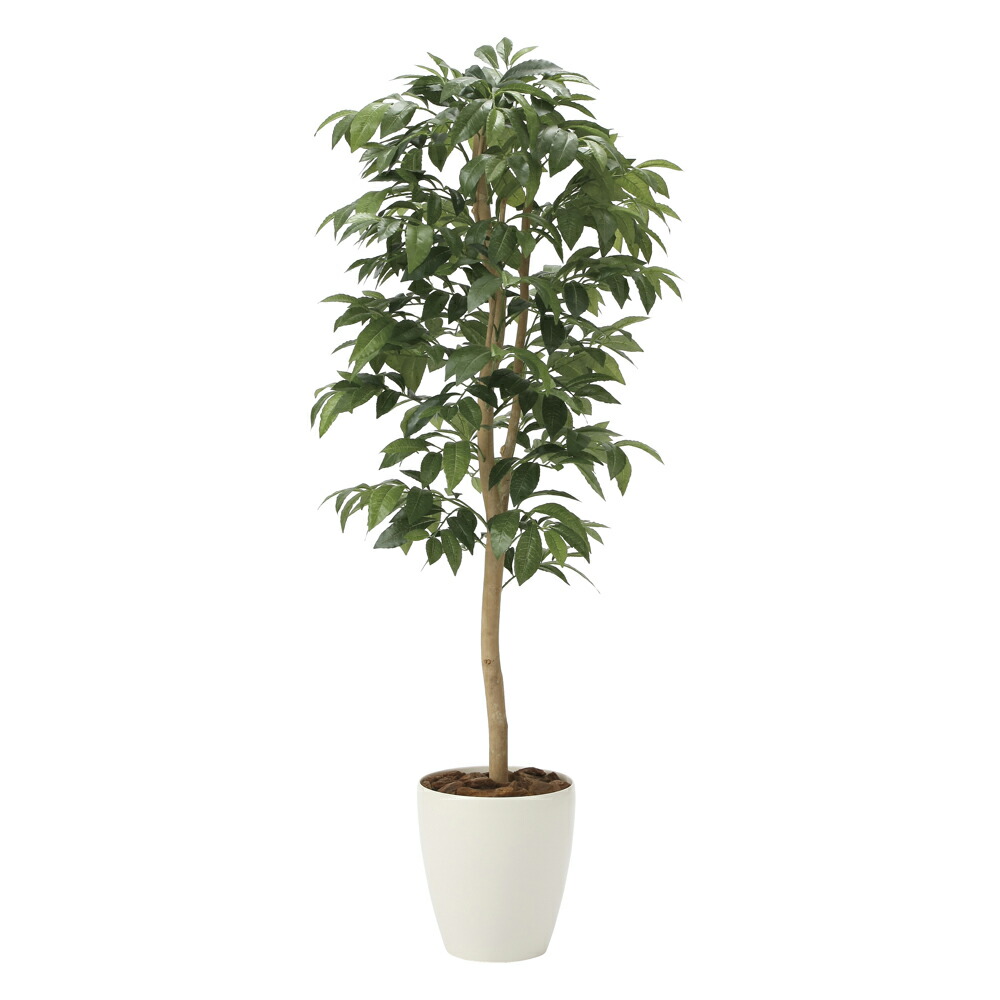 楽天市場】光触媒観葉植物 アルテシマ1.6 〔フロアタイプ〕 インテリア