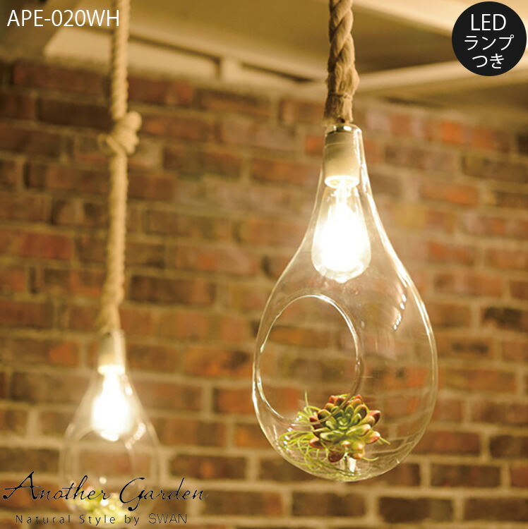 ape-020wh.jpg