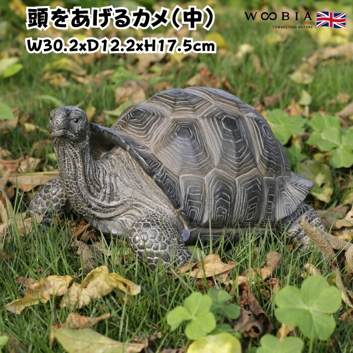 本翡翠 大きい縁起が良い亀親子置き物 Amazon.co.jp: Otjidku 母と子