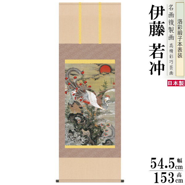 gfsan-00186.jpg