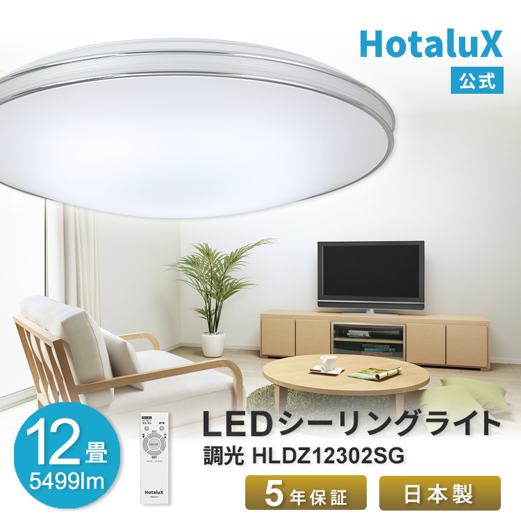 hldz12302sg.jpg