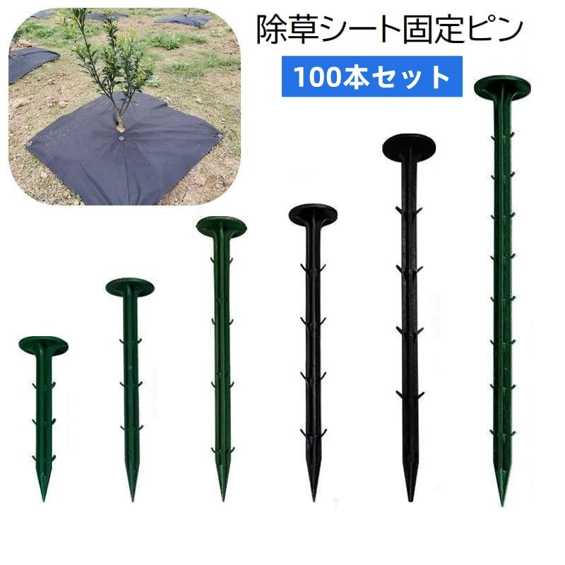 楽天市場】送料無料 除草シート固定ピン 100本セット 防草シート用 PP