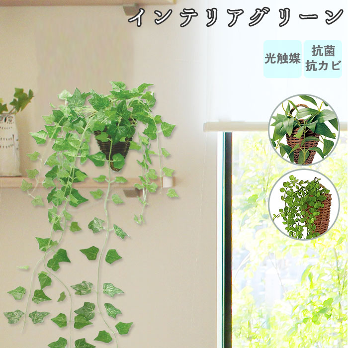 楽天市場】光触媒 観葉植物 通販 フェイクグリーン おしゃれ 壁掛け