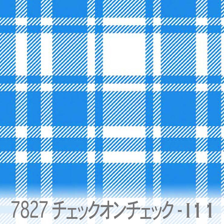 7827-i11-01.jpg
