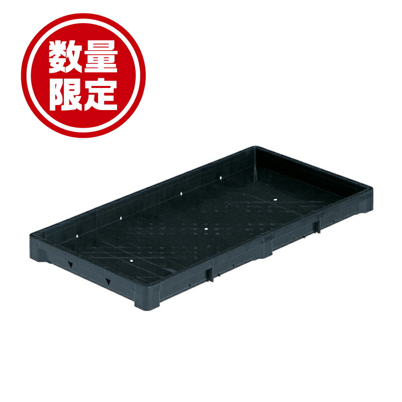 楽天市場】【100%ポイントバック エントリー＆抽選2/25まで】20枚 1034