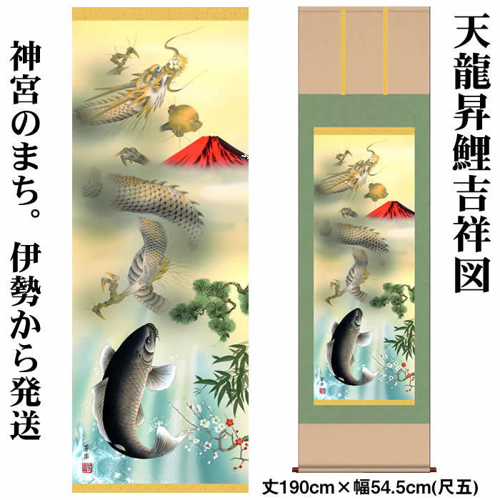 楽天市場】掛け軸【縁起画：天龍昇鯉吉祥図/KRMD5-038】丈164cm×幅44.5