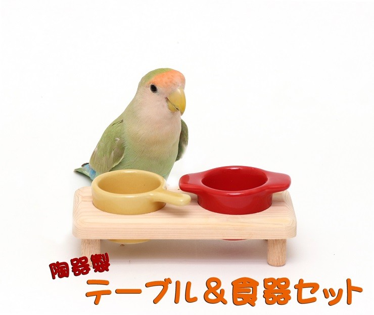 楽天市場】送料無料 | インコひな用 特製飼育セット : とりっぴー小鳥