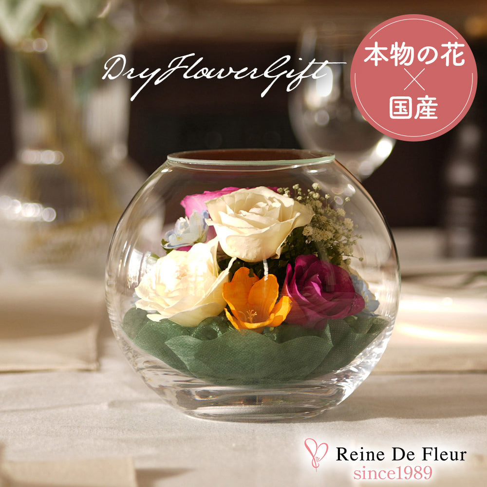 全ての商品 – レンデフロール