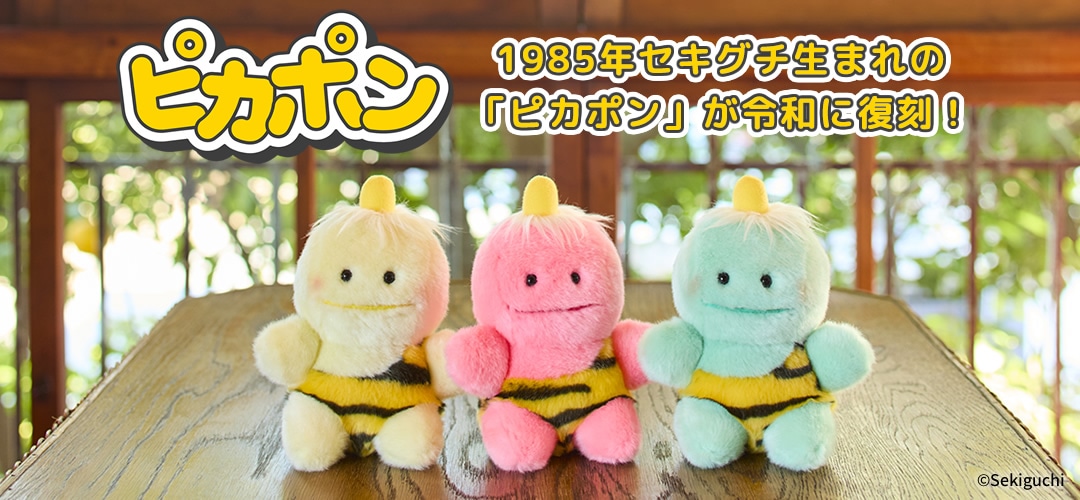 セキグチファンダイレクトショップ本店