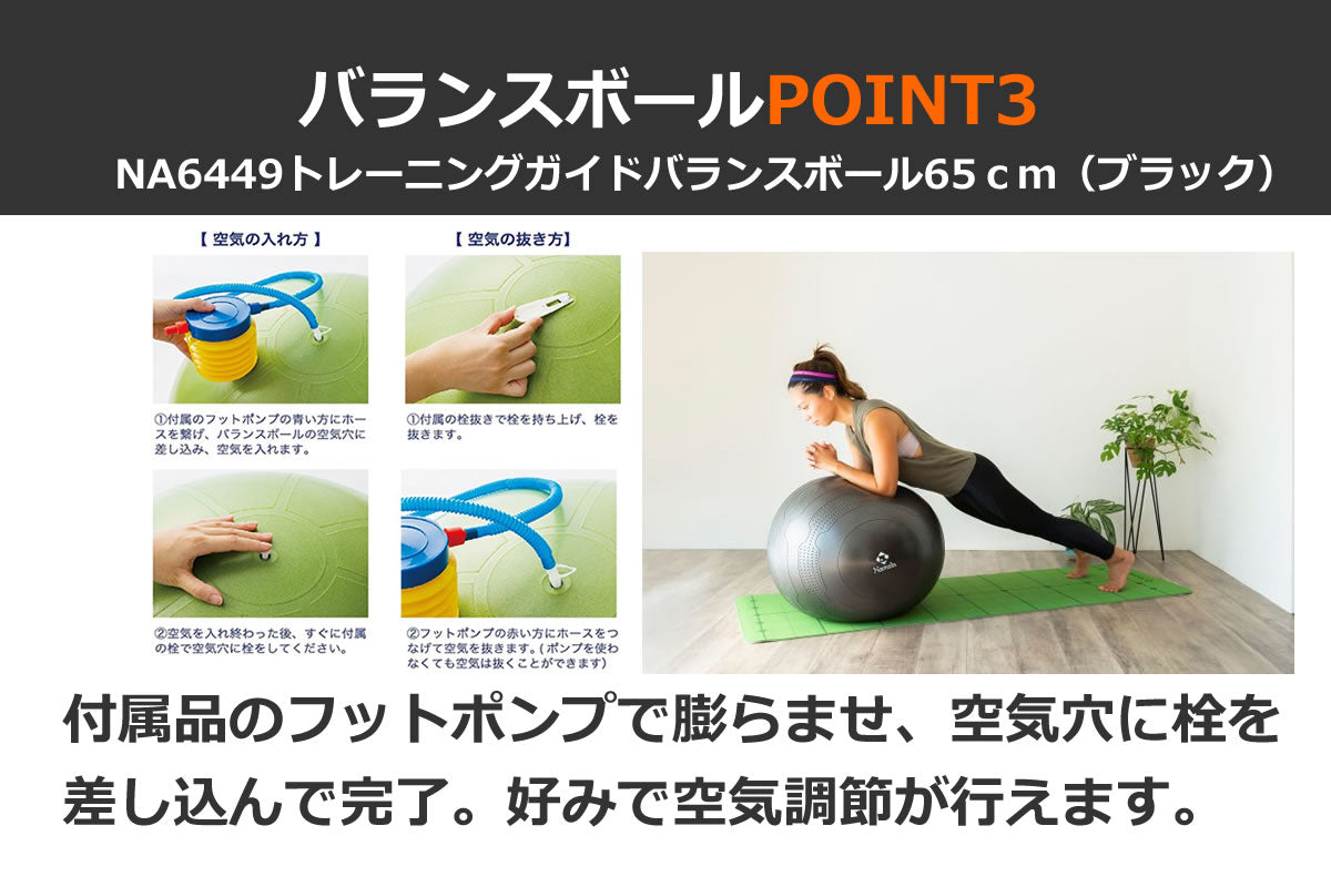 NA6449 トレーニングガイドバランスボール65cm（ブラック）｜Namala