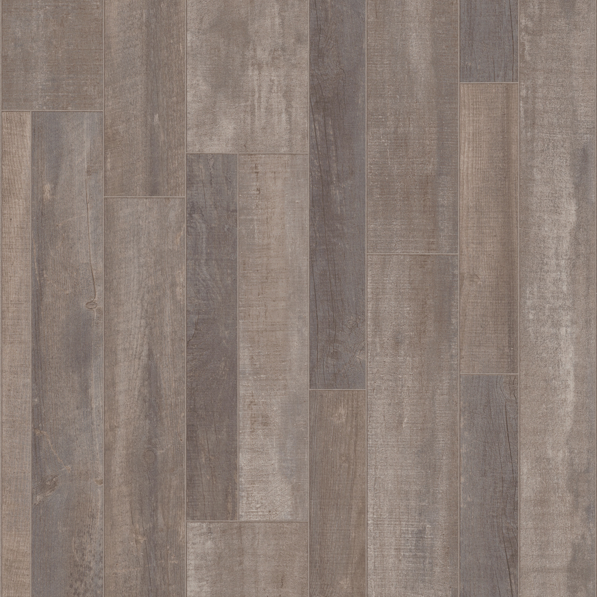 Anvil Plus 20 Mil - in Grey Chestnut | Shaw Floors