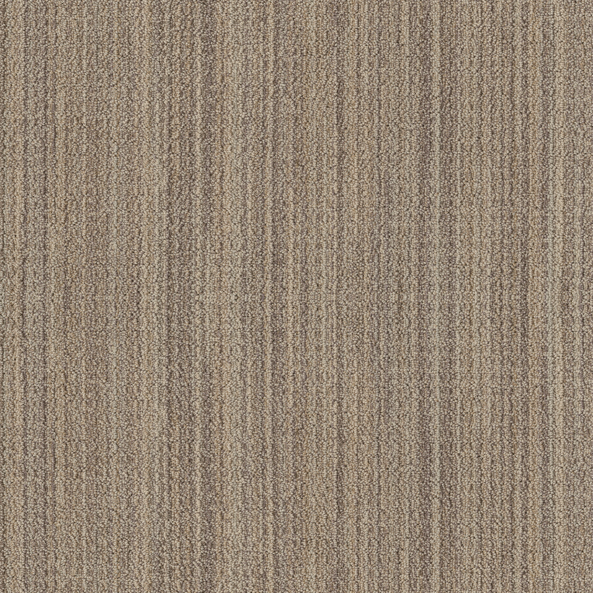 Sundance - 100% ANSO® High Performance Nylon in Wild Oats