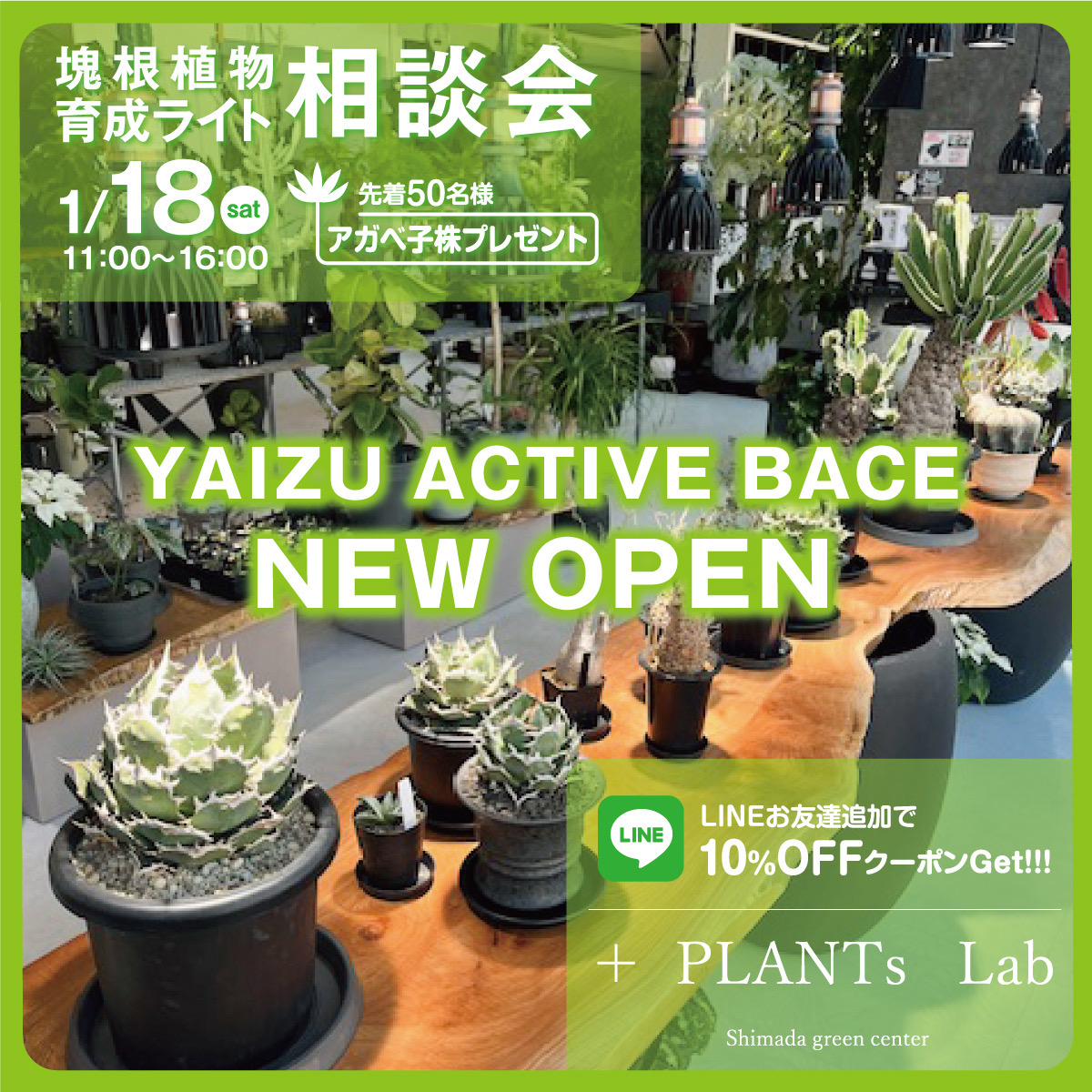 世田谷薬草調合室様オーダーページ 世田谷薬草調合室様オーダーページ