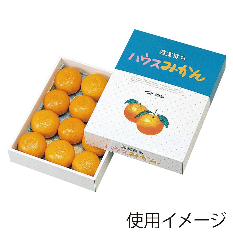 ヤマニパッケージ ギフト箱 ハウスみかん L-330 20枚/束（ご注文単位5