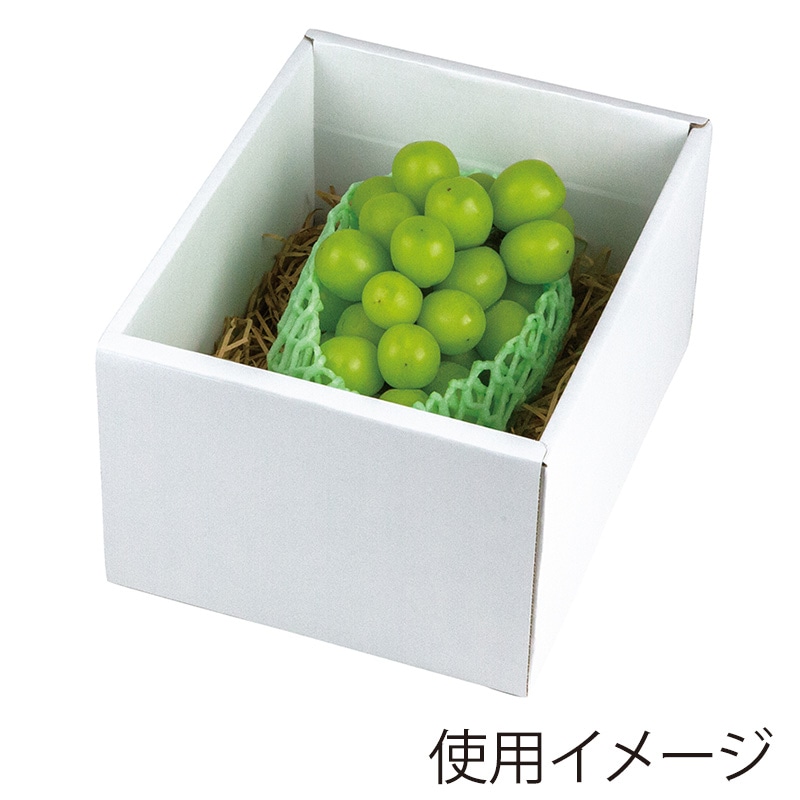 ヤマニパッケージ ぶどう箱 もぎたてのぶどう グリーン 小 L-2509 10枚