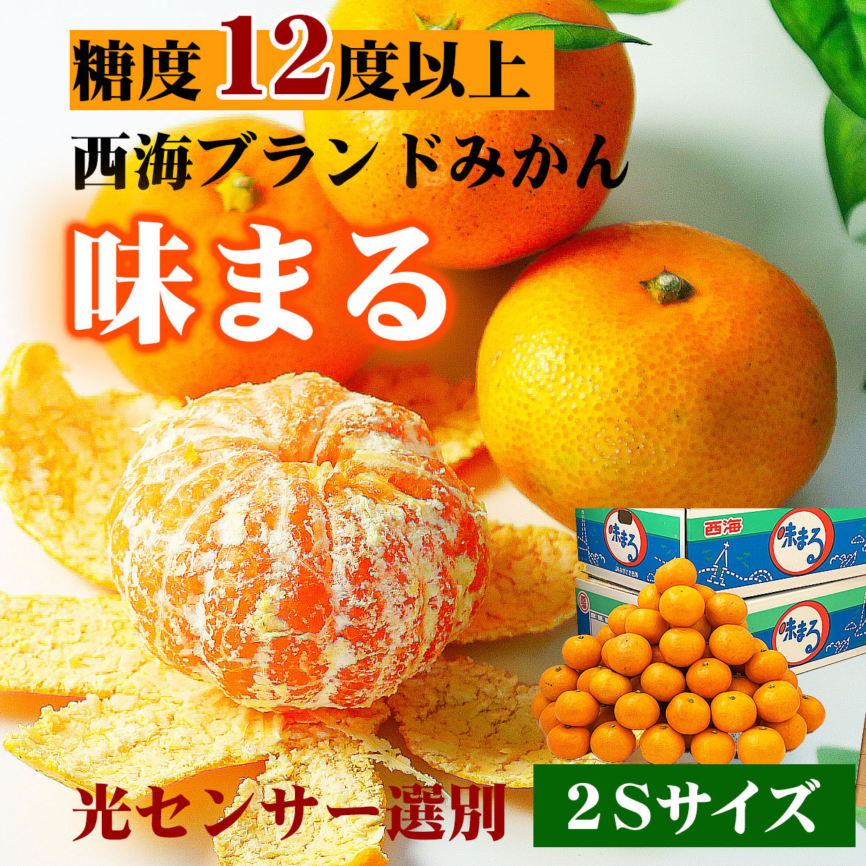 送料込】【訳ありセール】味まるみかん2Sサイズ 5kg【こつぶちゃん