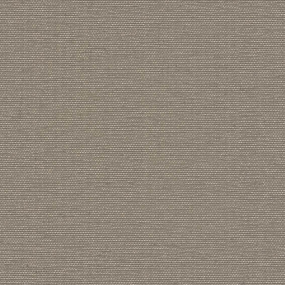シンコール | AZ8064 | 2025 abita