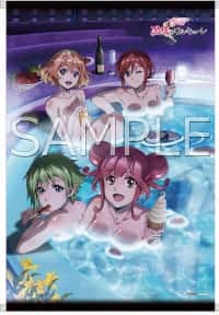 Slideshow: 『劇場版マクロスΔ 激情のワルキューレ』Blu-ray & DVDの特