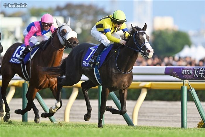 共同通信杯】主役発掘の舞台！その陰で光る伏兵にも注目 | 競馬