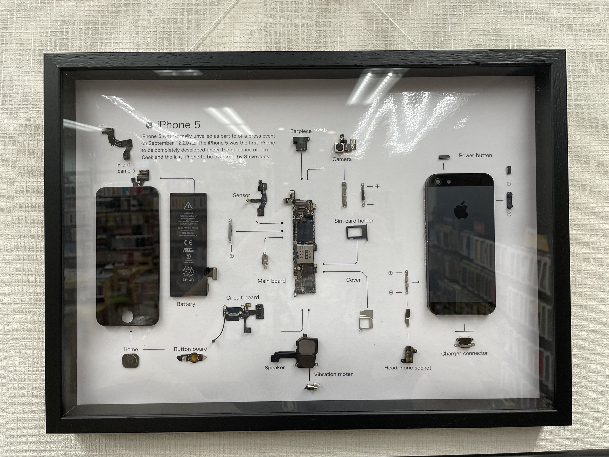 iPhoneの標本アート作ってみた | iPhone 修理 販売 買取 宝塚｜Smart