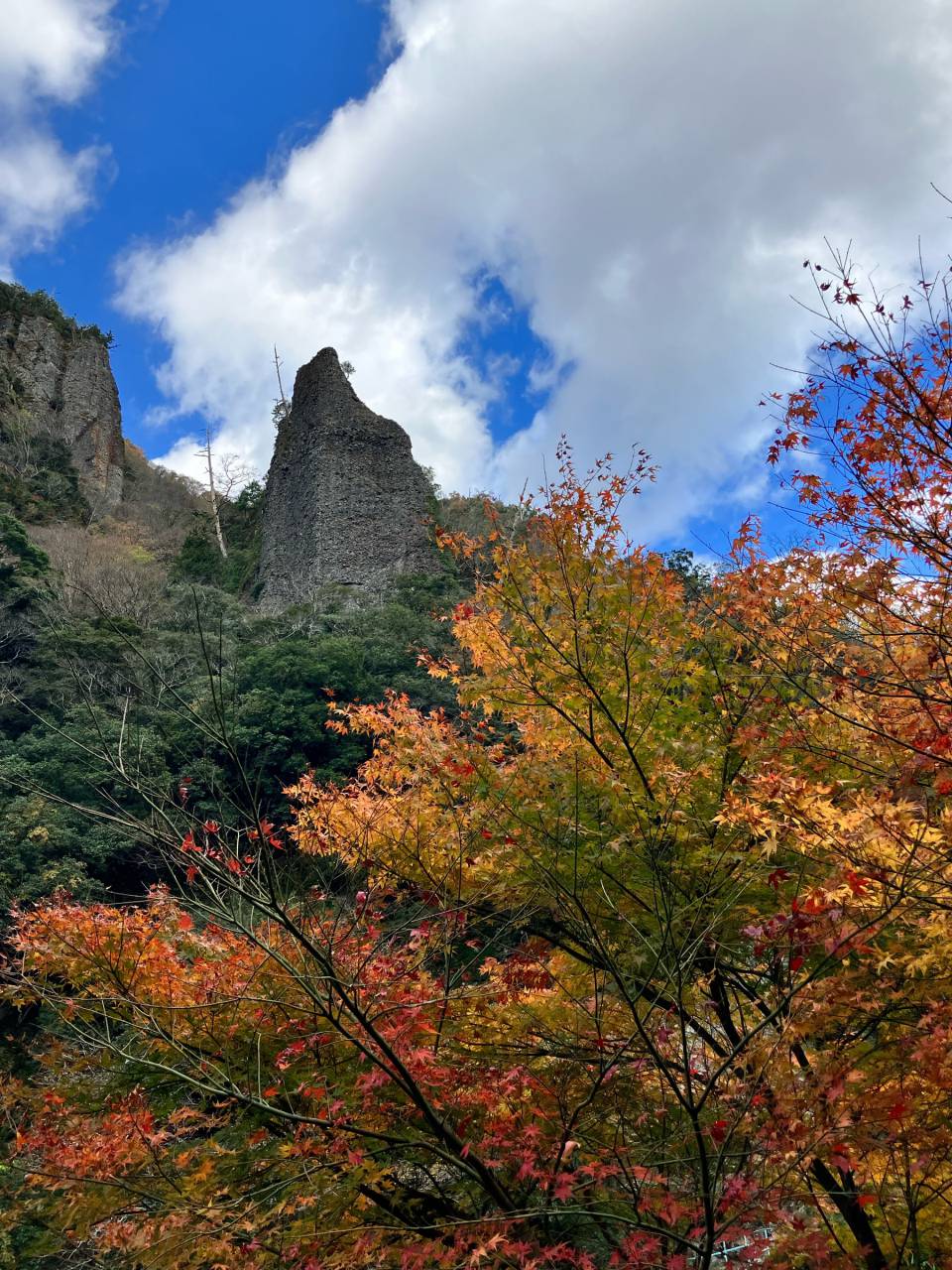 立久恵峡の紅葉情報【2025】 - ウェザーニュース