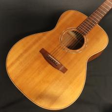 Lakewood(レイクウッド)の検索結果1～4件【楽器検索｜Jギター】