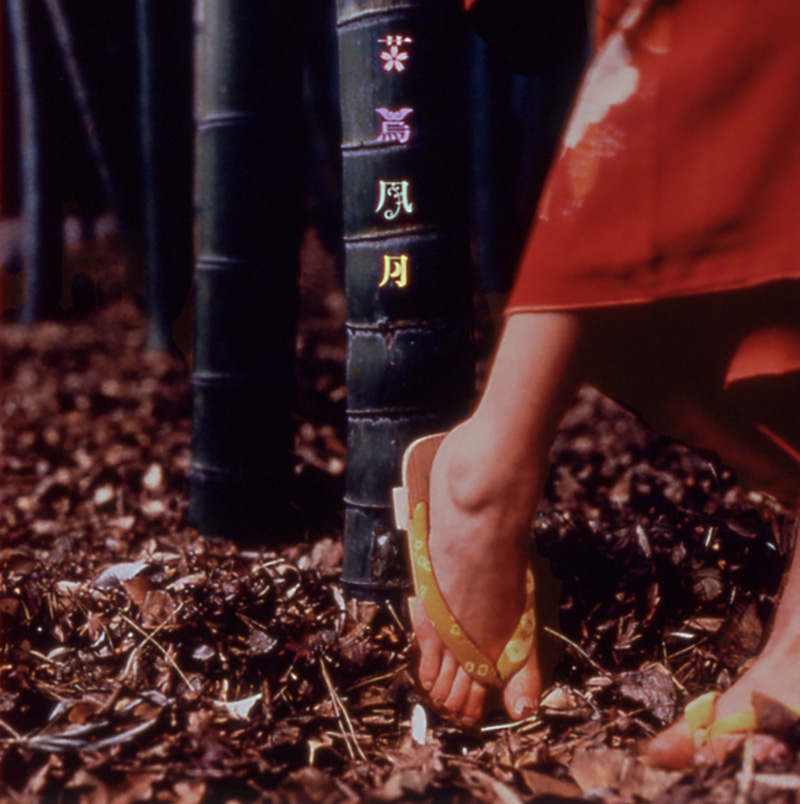 花鳥風月+ ｜ SPITZ OFFICIAL WEB SITE