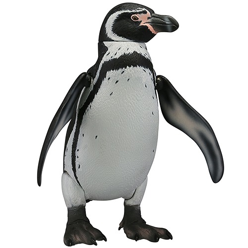 CDJapan : Soft Vinyl Toy Box 011 Penguin [Spheniscus humboldti