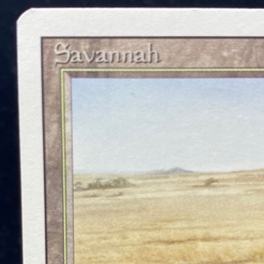 Savannah 3ED 1枚の通販 土日祝休@magi公式(コレクター)（844153106