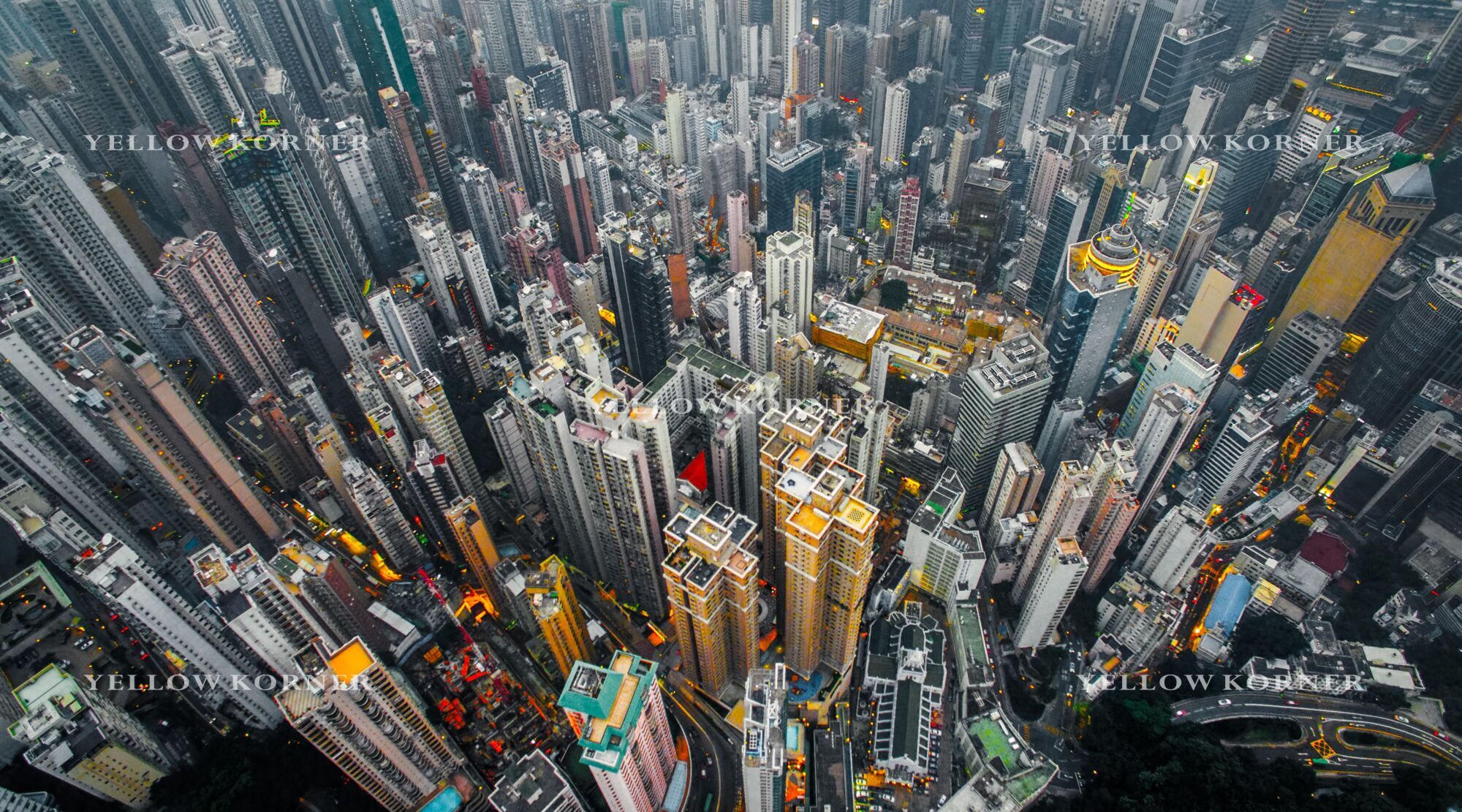 urban-jungle-01.jpg