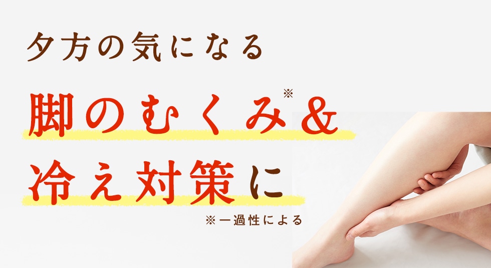 HAKKANスティック: LAVA公式オンラインストアLapre｜LAVA公式