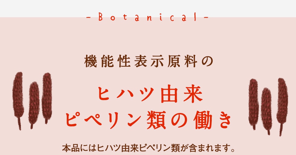 HAKKANスティック: LAVA公式オンラインストアLapre｜LAVA公式