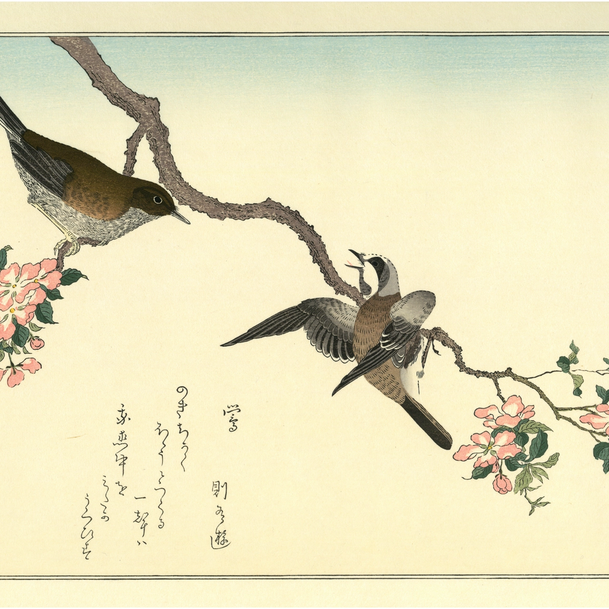 Kitagawa Utamaro（喜多川歌麿） 喜多川歌麿「百千鳥 山雀に鴬