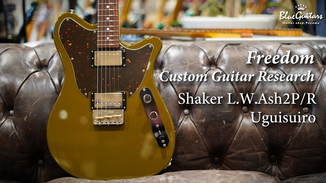 FREEDOM CUSTOM GUITAR RESEARCH Custom Style Shaker L.W.Ash2P/R