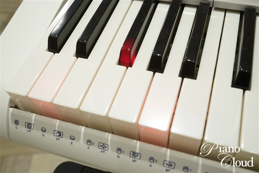 CASIO キーボード Casiotone 光ナビゲーションキーボード LK-515