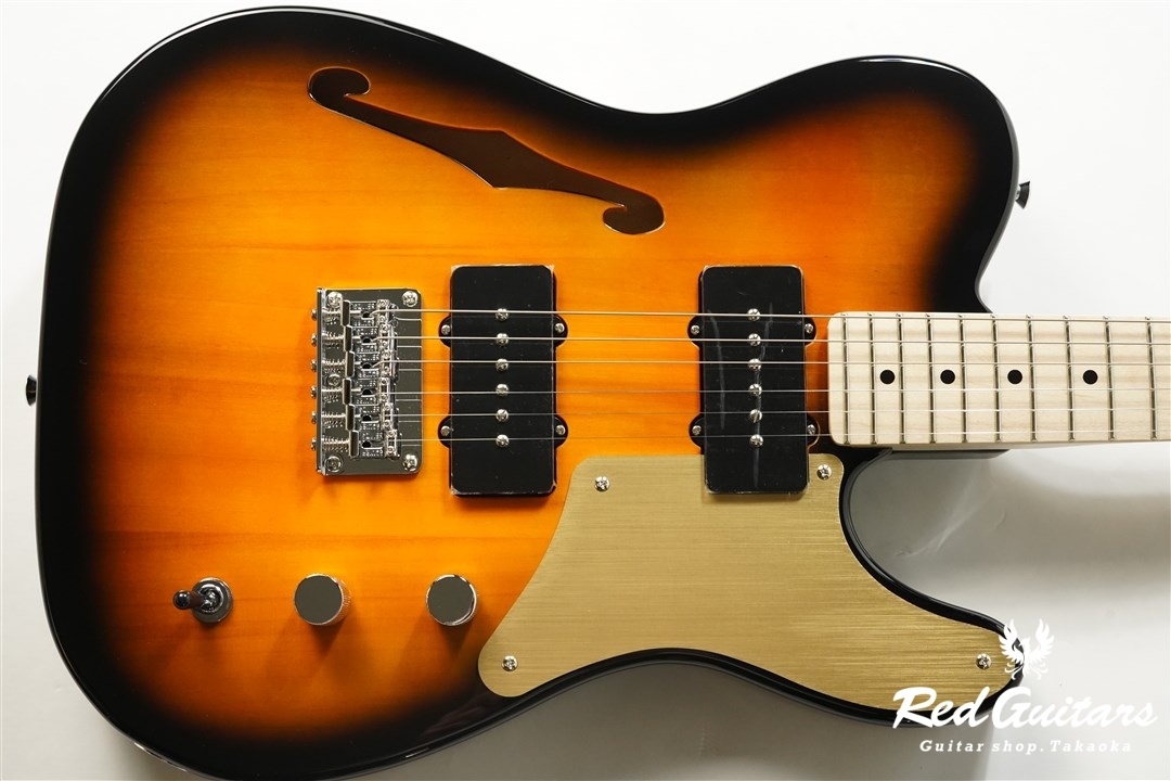 Squier by Fender PARANORMAL CABRONITA TELECASTER THINLINE - 2