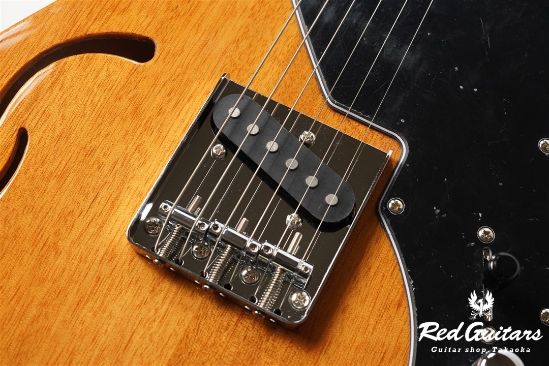 SCHECTER OL-PT-TH/ONTL | Red Guitars Online Store
