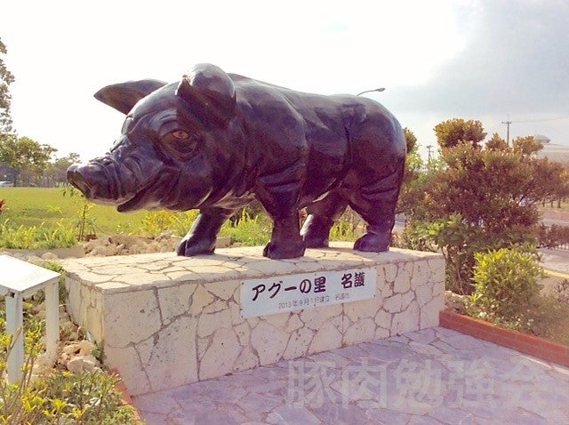 沖縄・名護市「アグー像」を見てきました!! | 豚→豚肉／豚肉勉強会