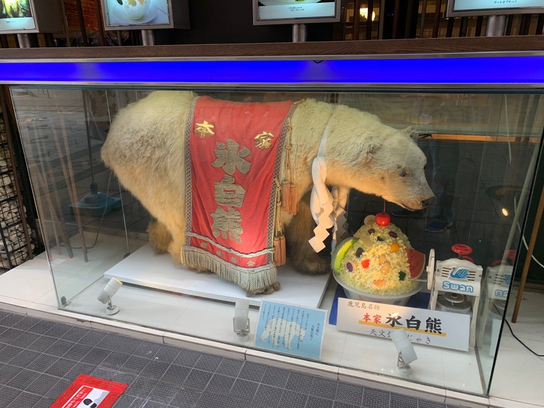 天文館むじゃき本店 | 渚吾(ショア)と一緒あ！2
