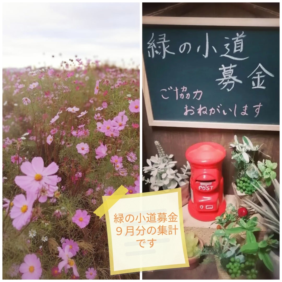つゆくさの花」坂村真民さんの『花一輪の宇宙』より | 富田林・じない