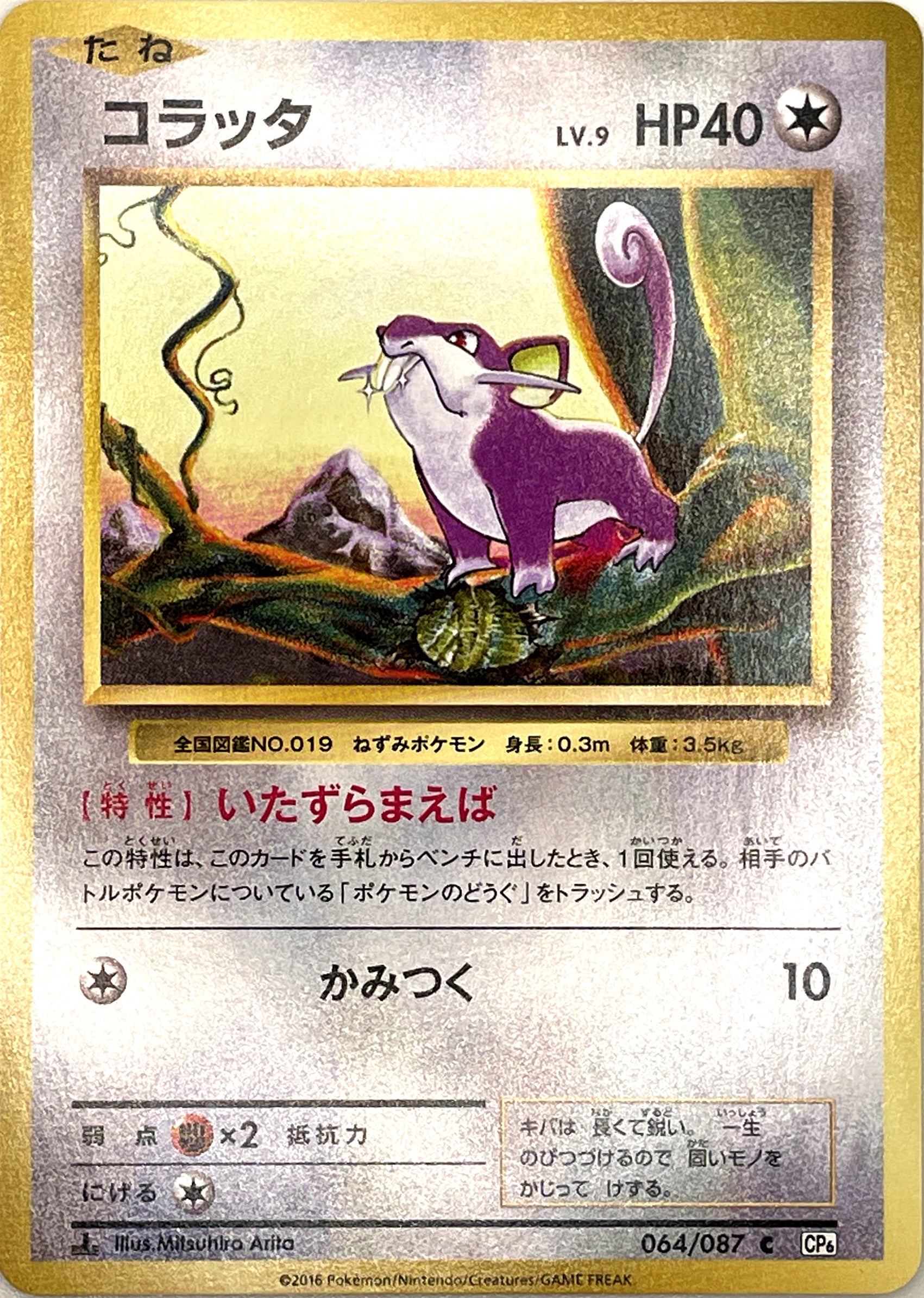 コラッタ（ XYシリーズ 収録）を鑑賞する：「初期ポケカの使命