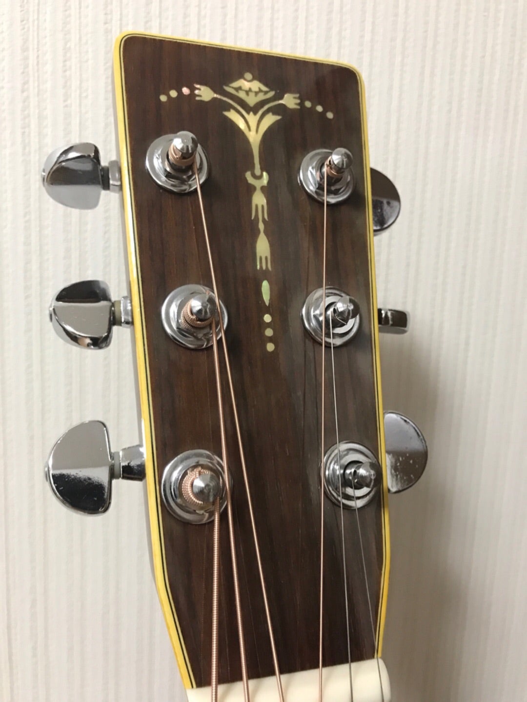Cat's Eyes 『CE-450D』 | 五式戦のアコギ部屋